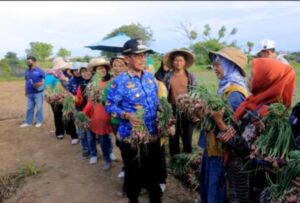 Wali Kota Tangerang Panen Bawang Merah dan Melon, Petani Sejahtera dan Ketahanan Pangan Kota Terjaga