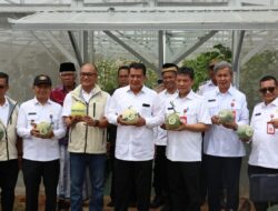 Bupati Tangerang Resmikan Greenhouse dan Panen Perdana Melon