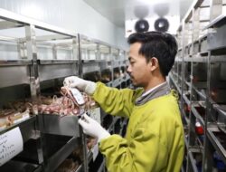 PMI Kota Tangerang Kumpulkan 75 Ribu Kantong Darah, Capai Target Tahun 2025