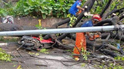 Pemkot Tangerang Berikan Perlindungan bagi Korban Pohon Tumbang