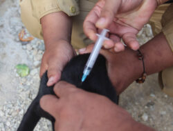 Banten Kembali Catatkan Prestasi Zero Case Rabies Selama 14 Tahun Berturut-turut