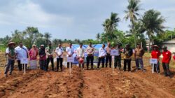 Perkuat Ketahanan Pangan, Camat Kemiri Rudi HK Turun Langsung Tanam Jagung di Desa Klebet