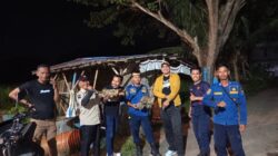 Usai Libur Idul Fitri, Tim Gabungan Berhasil Evakuasi Sarang Vespa affinis di Pemukiman Warga Kemiri