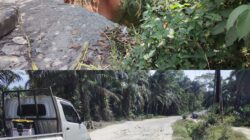 Jalan lintas Kisaran–Pematang Siantar di Buntu Pane, Asahan, nyaris putus akibat longsor, Warga keluhkan kerusakan 15 KM selama 2 tahun tanpa perbaikan, akses ekonomi terancam